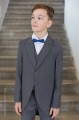 Boys Grey Tail Coat Suit with Royal Bow Tie - Earl