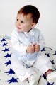 Baby Boys Blue Check Pattern Wedding Suit - Alvin
