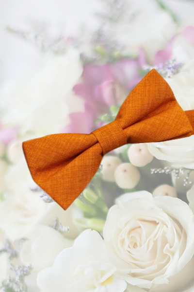 Boys Burnt Orange Textured Cotton Adjustable Dickie Bow