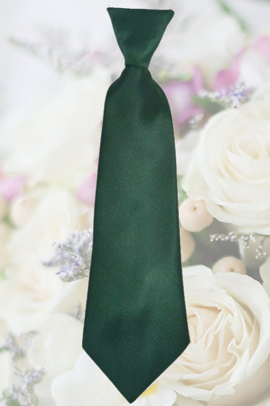 Boys Dark Green Elasticated Satin Tie