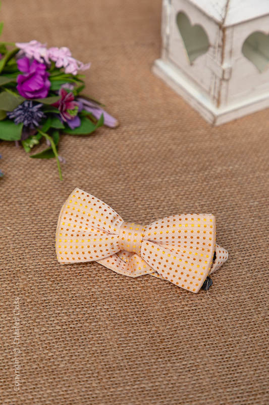 Boys Gold Polka Dot Adjustable Satin Dickie Bow