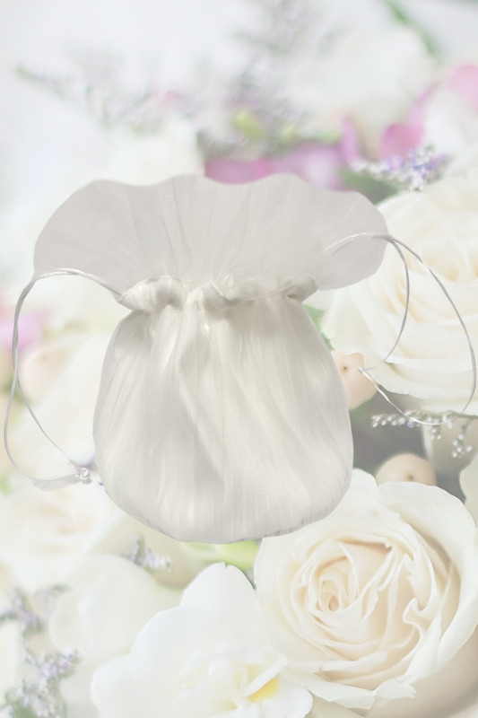 Girls Light Ivory Organza Flower Girl Dolly Bag