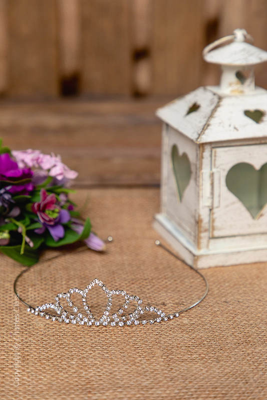 Sparkly Crystal Leaf Shaped Tiara