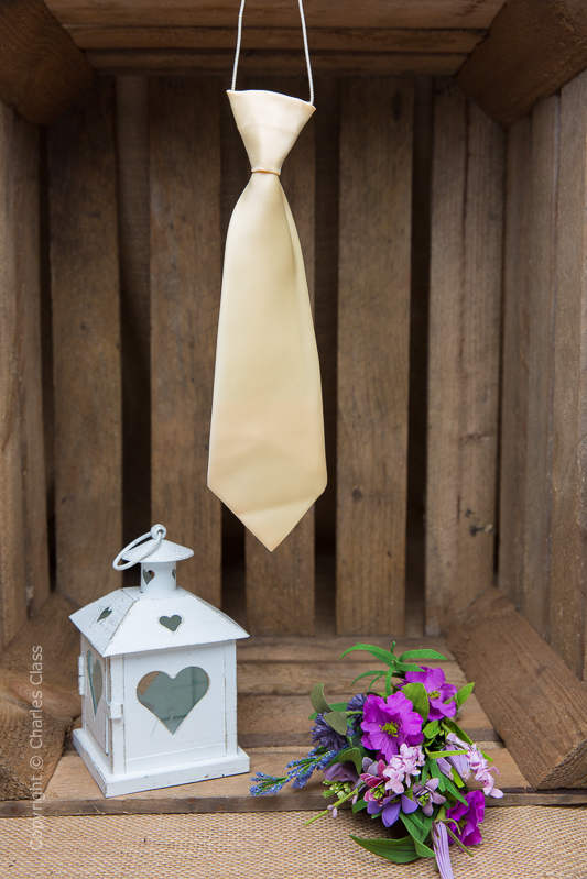 Boys White Shirt with Gold Tie | Boys Formal Wedding Shirt & Tie Set