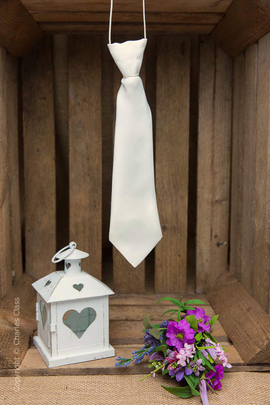 Boys Ivory Elasticated Satin Tie