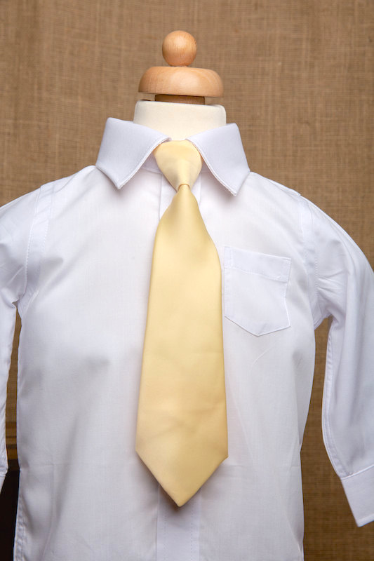 Boys White Italian Collar Shirt with Gold Tie